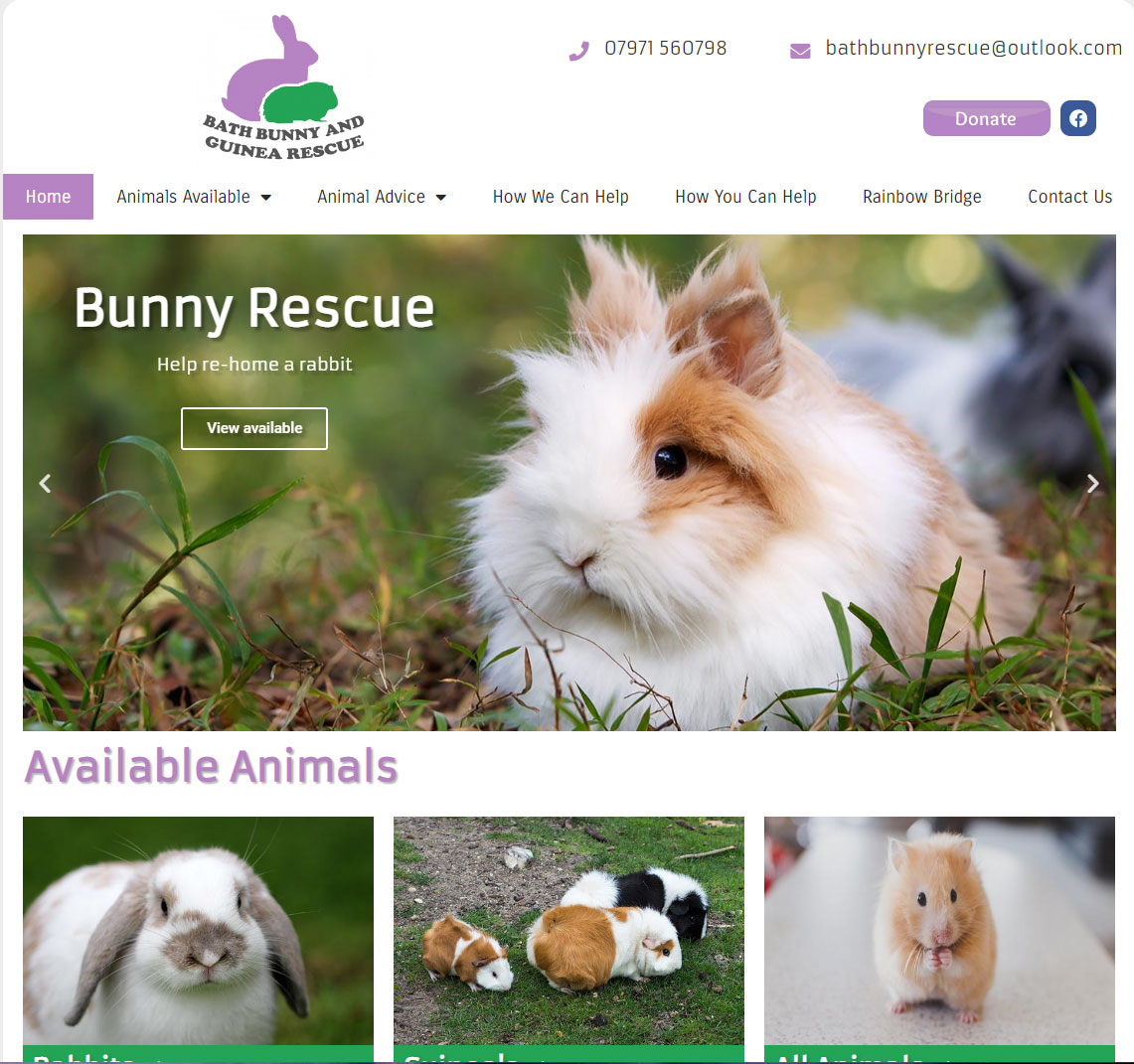 bath-bunnie-rescue-website